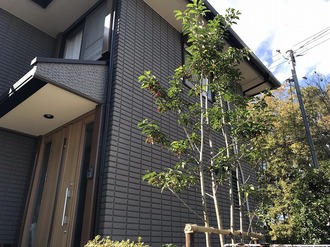 水戸市 伐採・抜根工事 完工
