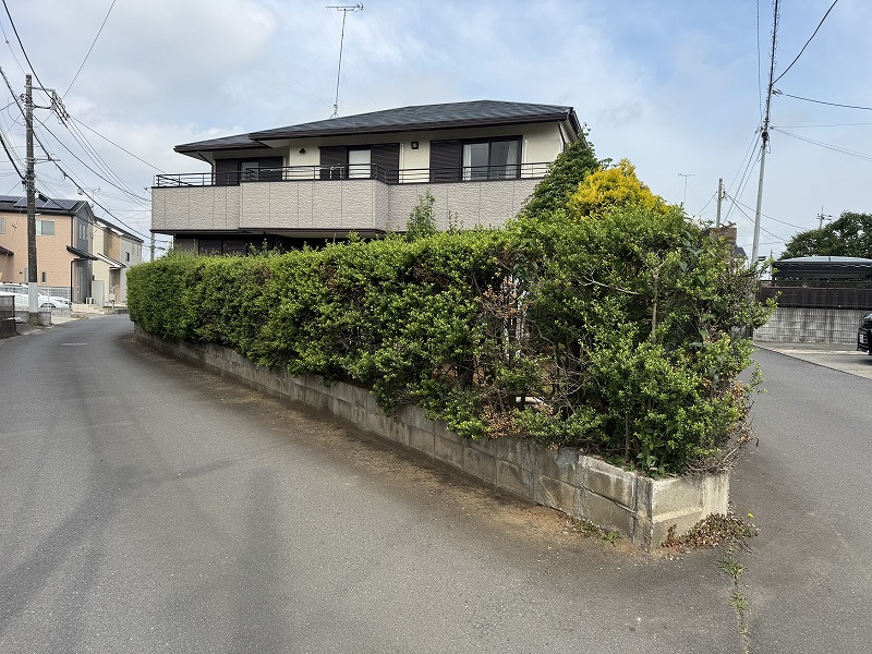 2025-05-16 08.27.09.jpg