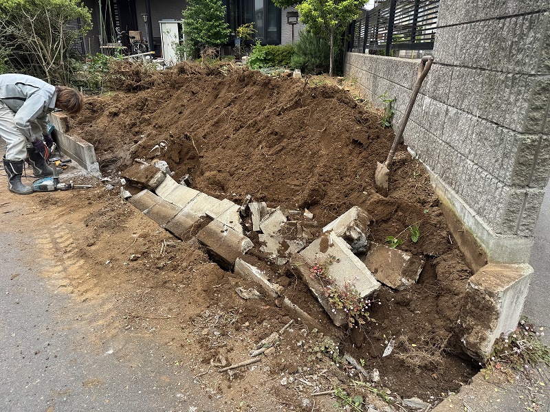 2025-05-16 10.52.17.jpg