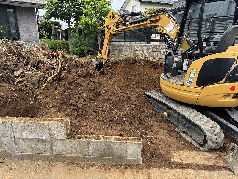 2025-05-19 13.12.13.jpg