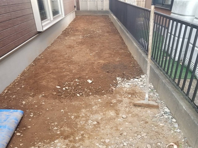 2025-01-15 19.09.11.jpg