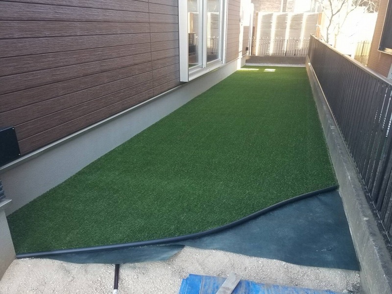 2025-01-29 19.02.23.jpg