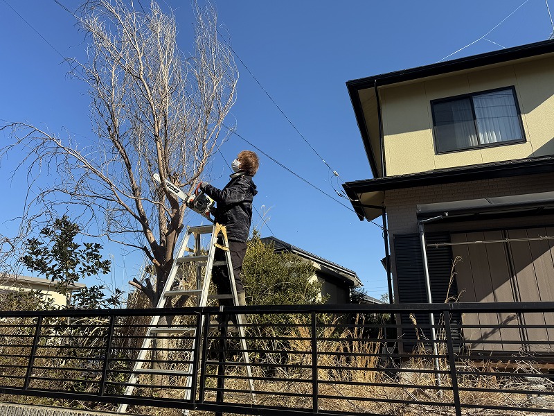 2025-02-26 09.14.28.jpg