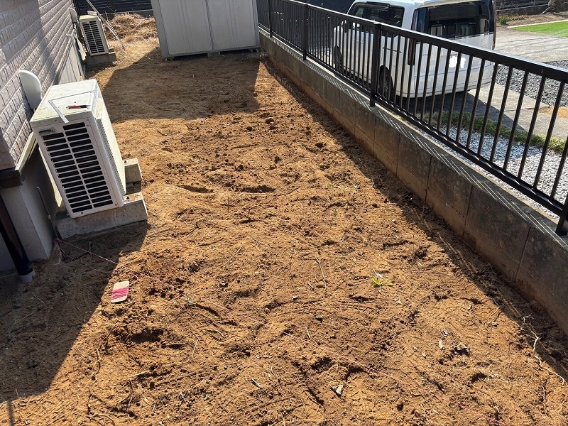 2025-03-01 20.43.35.jpg