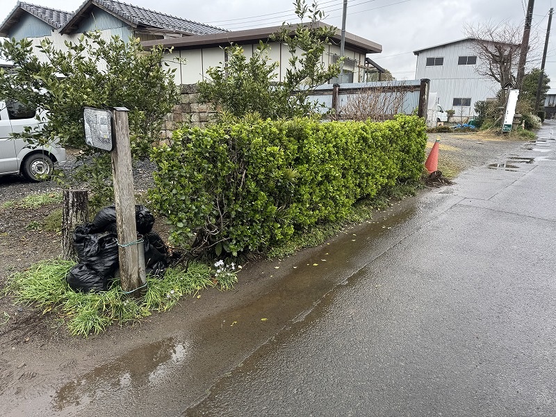 2025-03-29 14.29.33.jpg