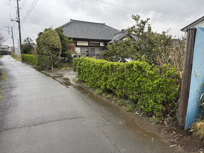 2025-03-29 14.29.43.jpg