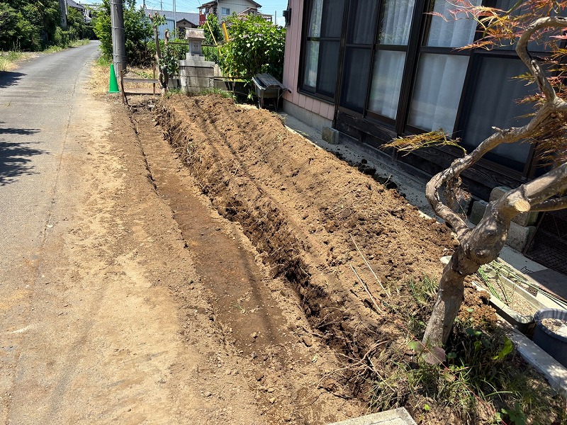 2025-06-18 17.55.12.jpg