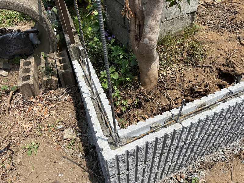 2025-07-19 04.42.09.jpg