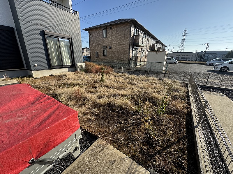 2025-11-17 08.40.35.jpg