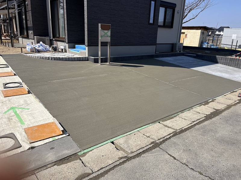 2025-03-21 15.13.09.jpg