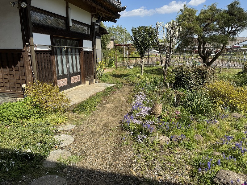 2025-04-14 13.55.04.jpg