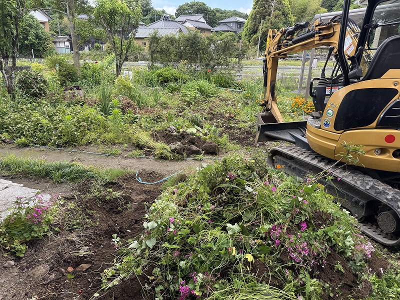 2025-05-28 08.45.23.jpg