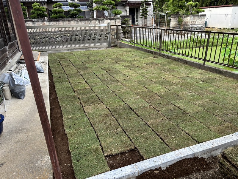 2025-06-12 19.00.13.jpg