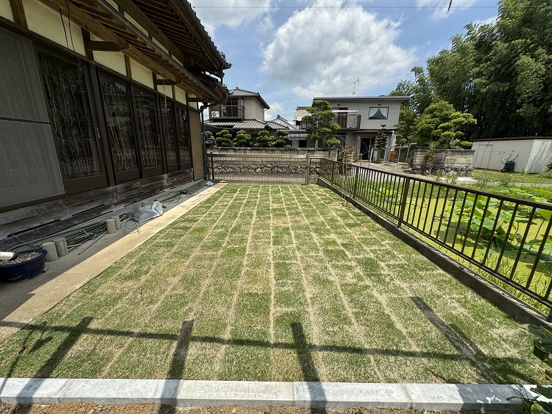 2025-06-21 11.24.29.jpg